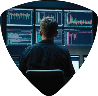 Cybersecurity expert monitoring data